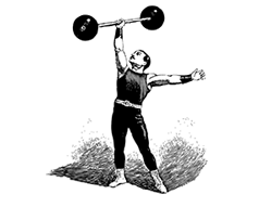 muskelmann